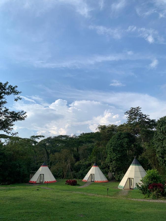 Готель Bosque De Aventura & Glamping Refugio Del Bosque Ла-Меса Екстер'єр фото